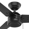 Hunter Fan Cassius Ceiling Fan