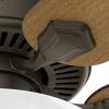 Hunter Fan Swanson 50901 Ceiling Fan