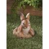 Summerfield Terrace Curious Bunny Garden Decor