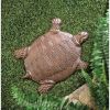 Summerfield Terrace Turtle Stepping Stone