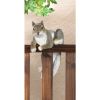 Summerfield Terrace Climbing "Chip" Squirrel Decor