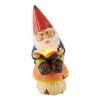 Summerfield Terrace Bookworm Gnome Solar Statue