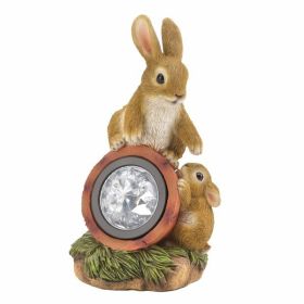 Summerfield Terrace Rabbit W/Solar Light