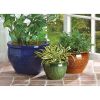 Summerfield Terrace Jewel-Tone Flower Pot Trio