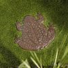 Accent Plus Frog Stepping Stone