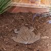 Accent Plus Frog Stepping Stone