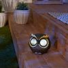 Accent Plus Solar Owl Figurine (M)