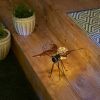 Accent Plus Butterfly Solar Glow Bug