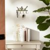 Accent Plus Garden Tools Cast Iron Wall Hook