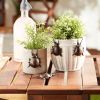 Accent Plus Ladybug Cast Iron Pot Hanger Set