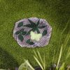 Accent Plus Butterfly Glowing Stepping Stone