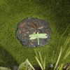 Accent Plus Dragonfly Glowing Stepping Stone