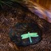 Accent Plus Dragonfly Glowing Stepping Stone