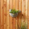 Accent Plus Bird Galvanized Wall Planter