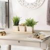 Accent Plus White Square Ceramic Small Planter Set