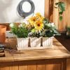 Accent Plus White Square Ceramic Small Planter Set